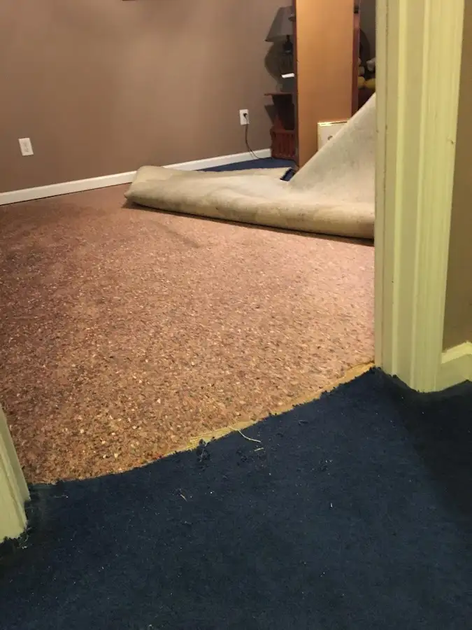 Carpet pad removal revealing water damage during Drying & Dehumidification in Maysville
