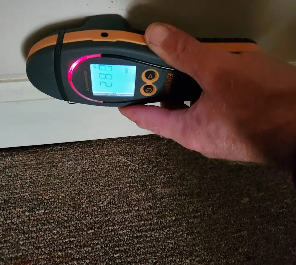 Moisture detection at baseboard during Mold Inspection & Testing in Maysville